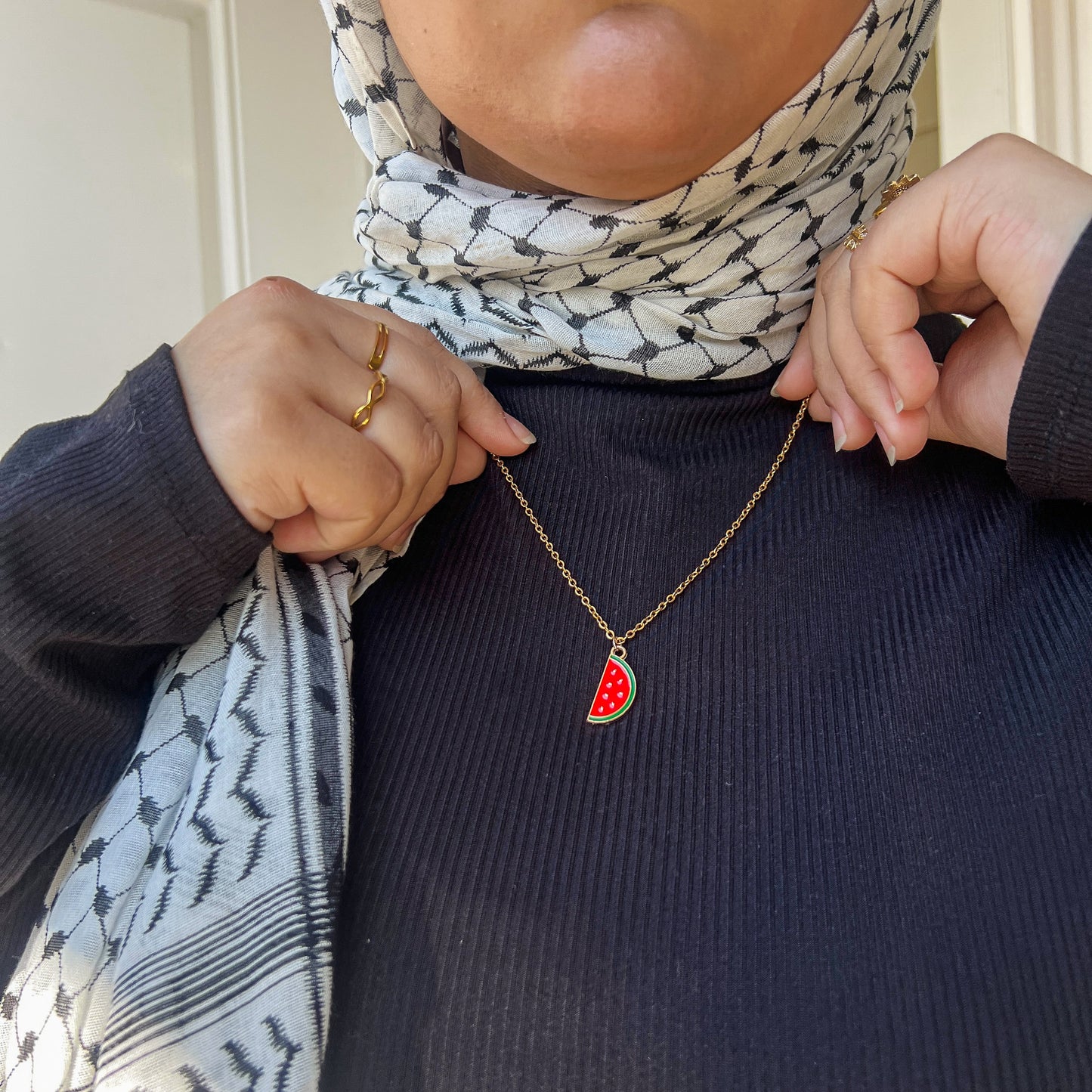 Slice of Resistance Palestine Watermelon Gold Chain Necklace